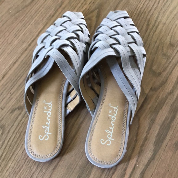 Splendid mules - Picture 4 of 4